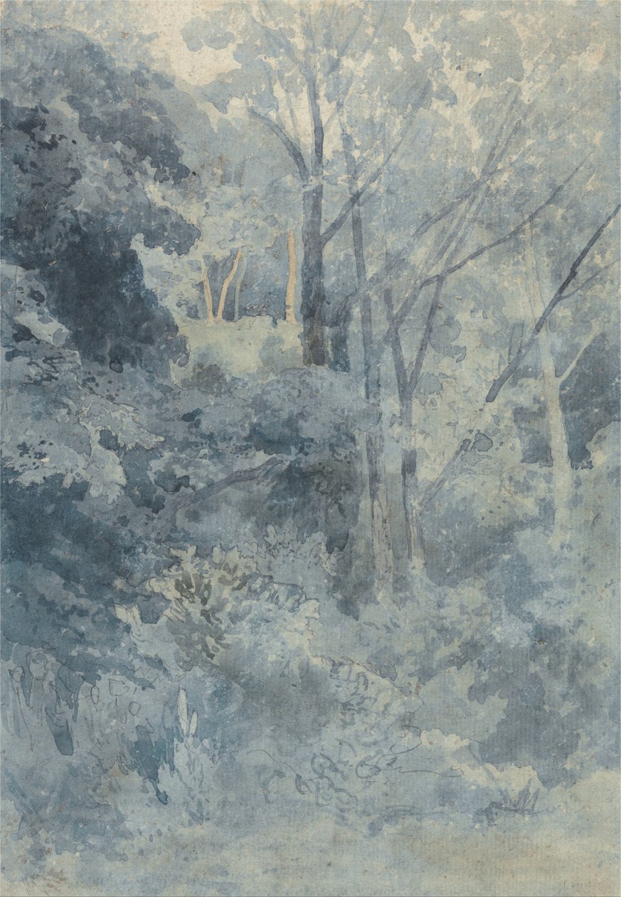W Rokeby Park autorstwa John Sell Cotman