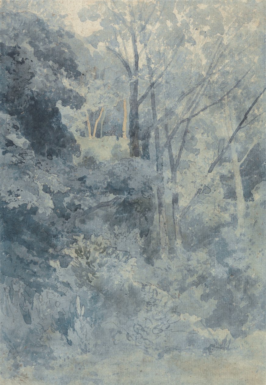 W parku Rokeby autorstwa John Sell Cotman