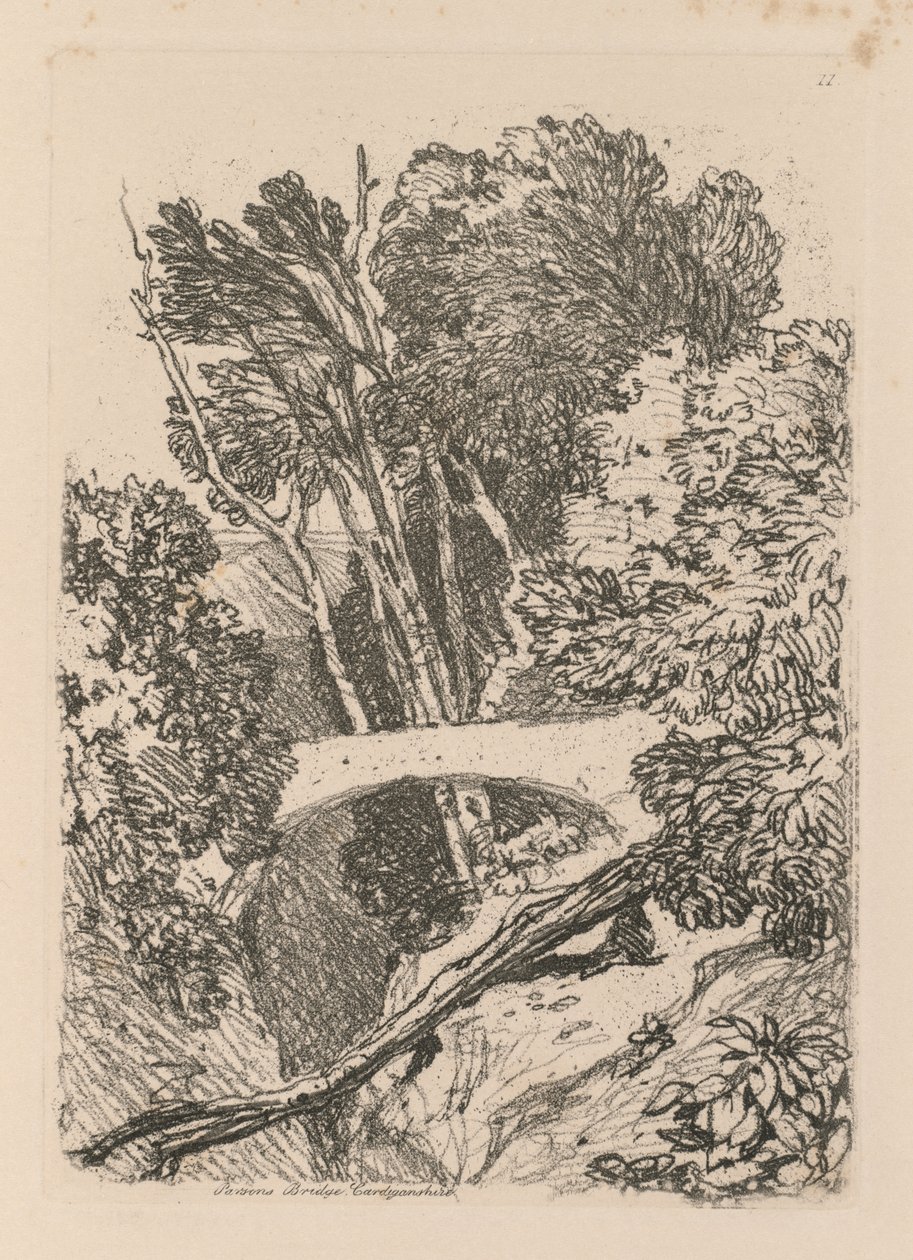 Liber Studiorum: Tablica 11: Parsons Bridge, Cardingshire, 1838 autorstwa John Sell Cotman