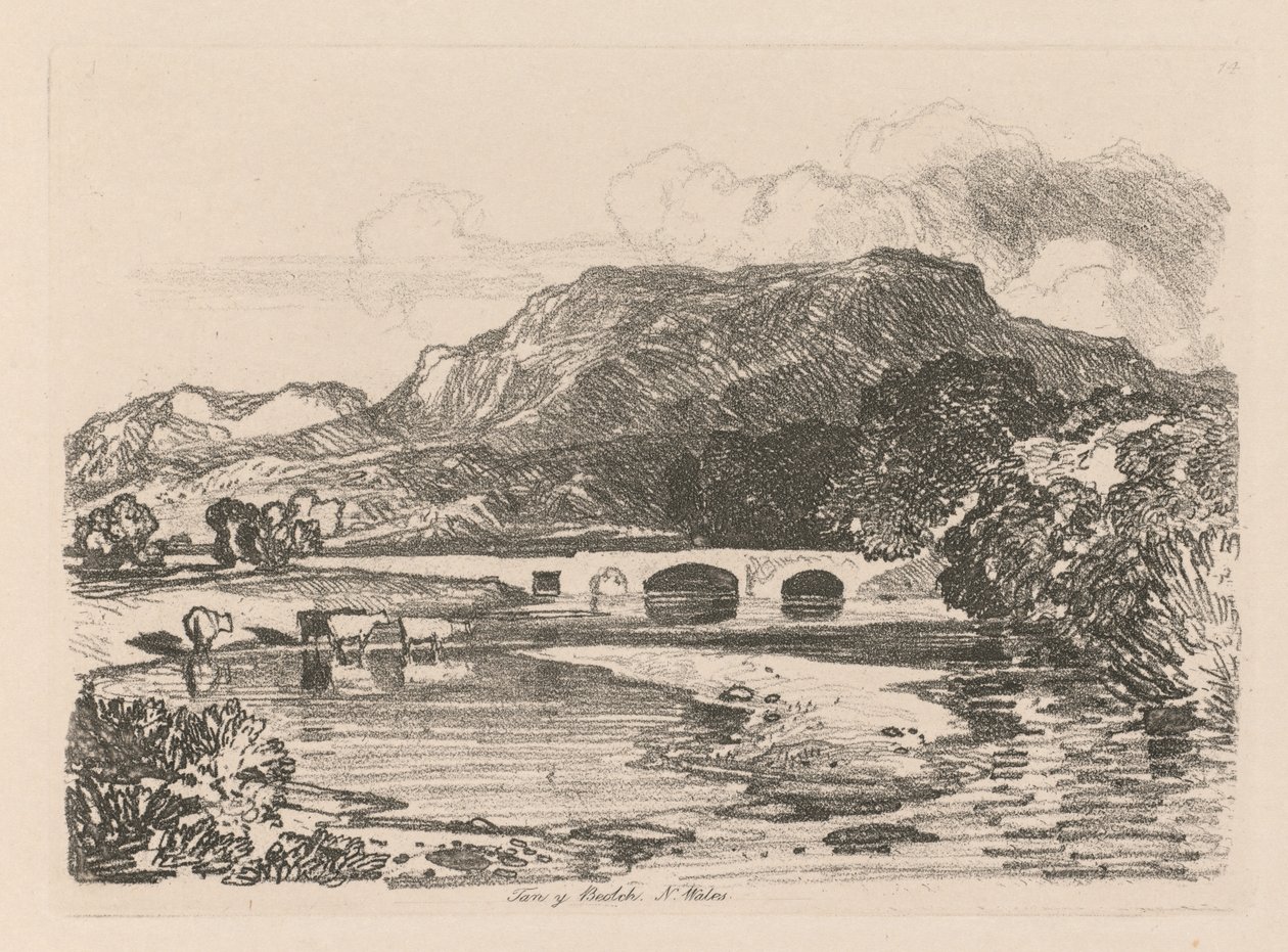 Liber Studiorum: Tablica 14, Tan-y-Bwlch, Merionethshire, Północna Walia, 1838. autorstwa John Sell Cotman