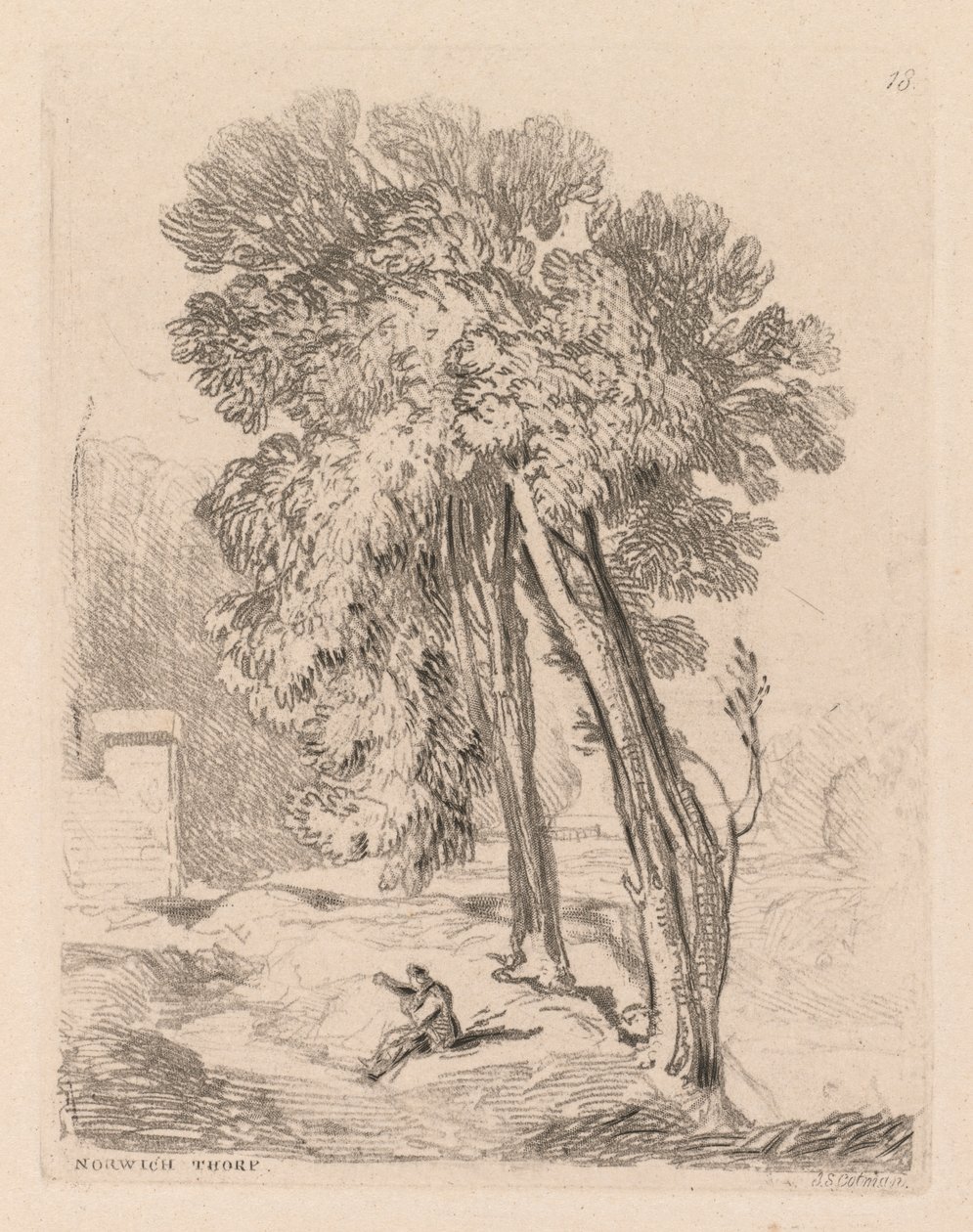 Liber Studiorum: Tablica 18, Drzewa w Norwich Thorp, Norfolk, 1838. autorstwa John Sell Cotman