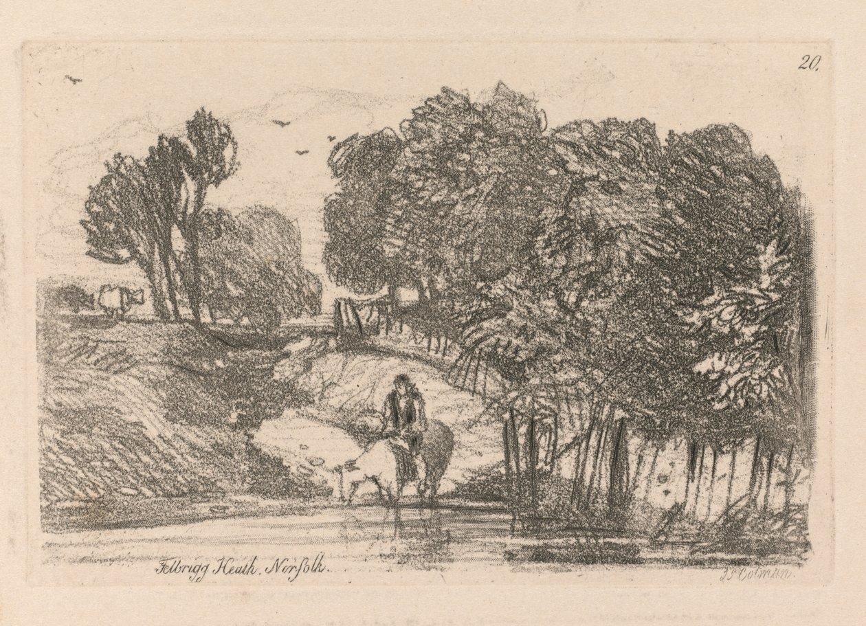 Liber Studiorum: Płyta 20, Felbrigg Heath, Norfolk autorstwa John Sell Cotman