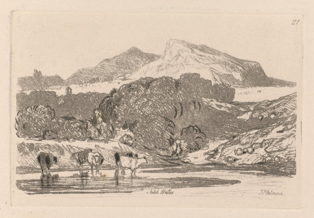 Liber Studiorum: Płyta 21, Widok w północnej Walii autorstwa John Sell Cotman