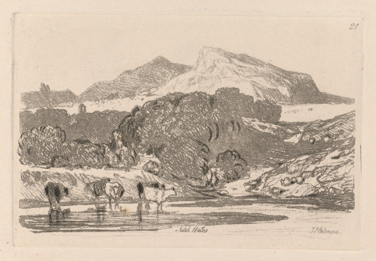 Liber Studiorum: Tablica 21, Widok w północnej Walii, 1838. autorstwa John Sell Cotman