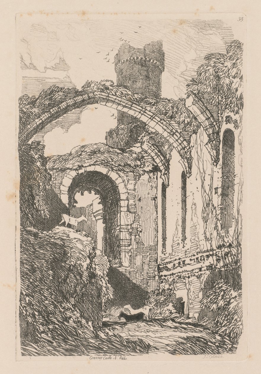 Liber Studiorum: Tablica 33, Zamek Conway, N. Walia, 1838. autorstwa John Sell Cotman