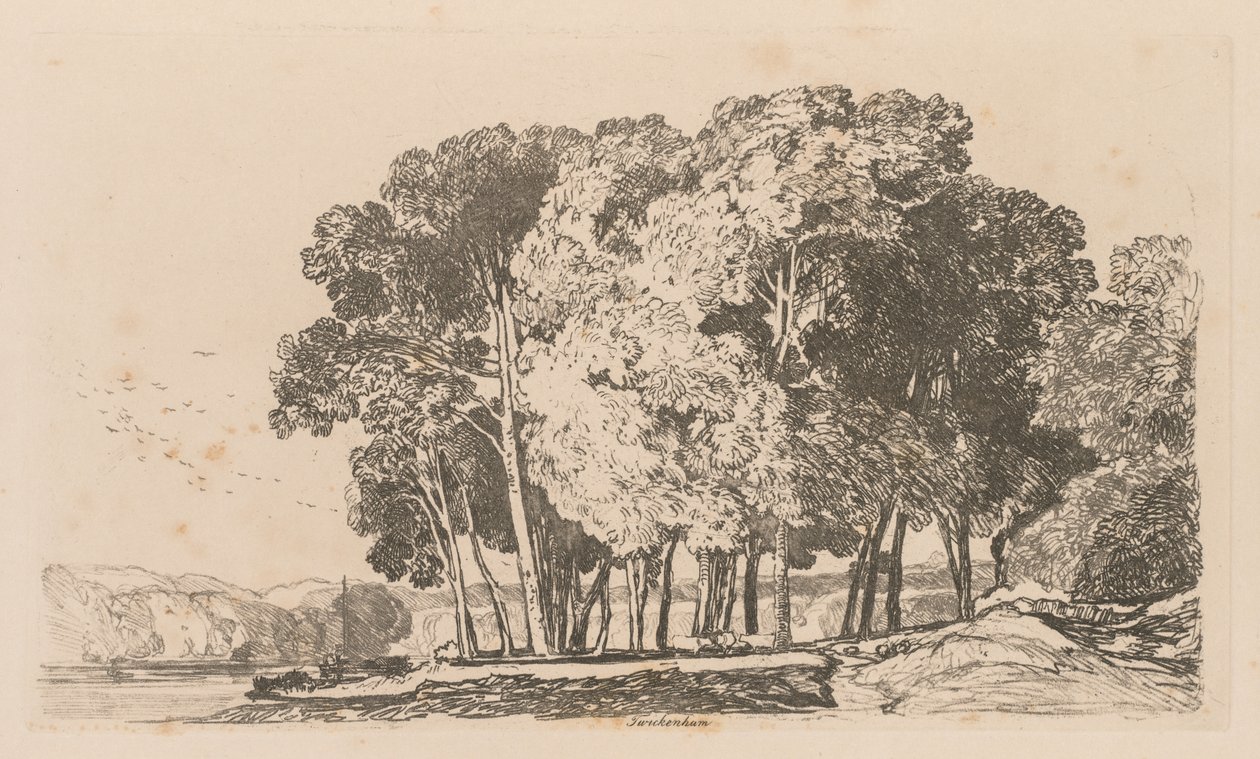 Liber Studiorum: Tablica 3, Drzewa w pobliżu Twickenham autorstwa John Sell Cotman