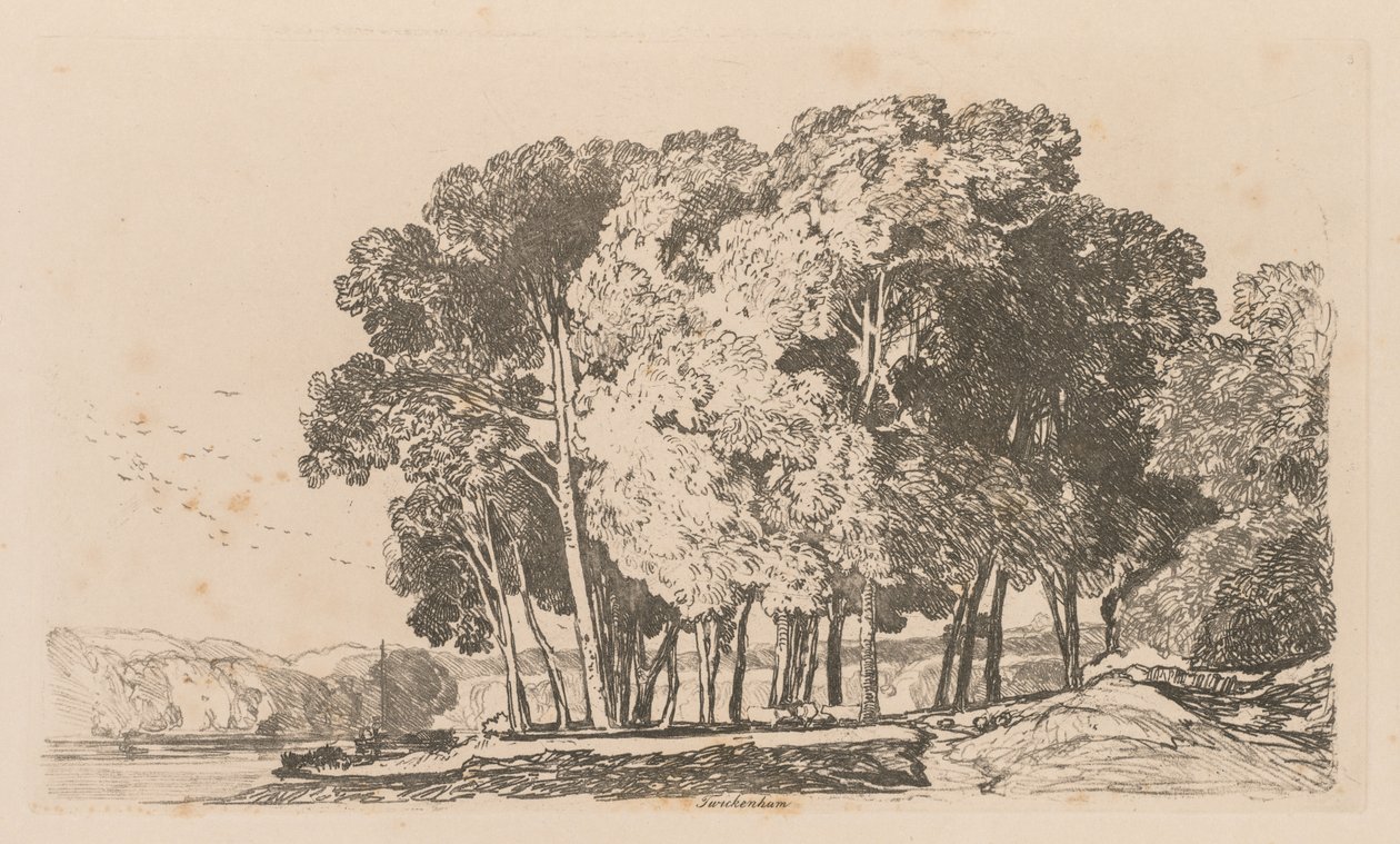 Liber Studiorum: Tablica 3, Drzewa w pobliżu Twickenham, 1838. autorstwa John Sell Cotman