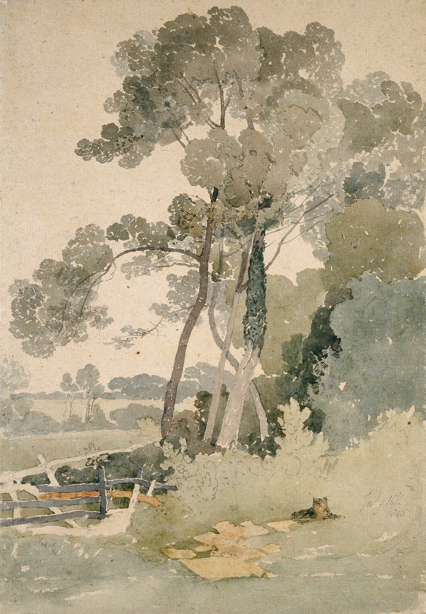 W pobliżu Brandsby, Yorkshire, 1865 autorstwa John Sell Cotman