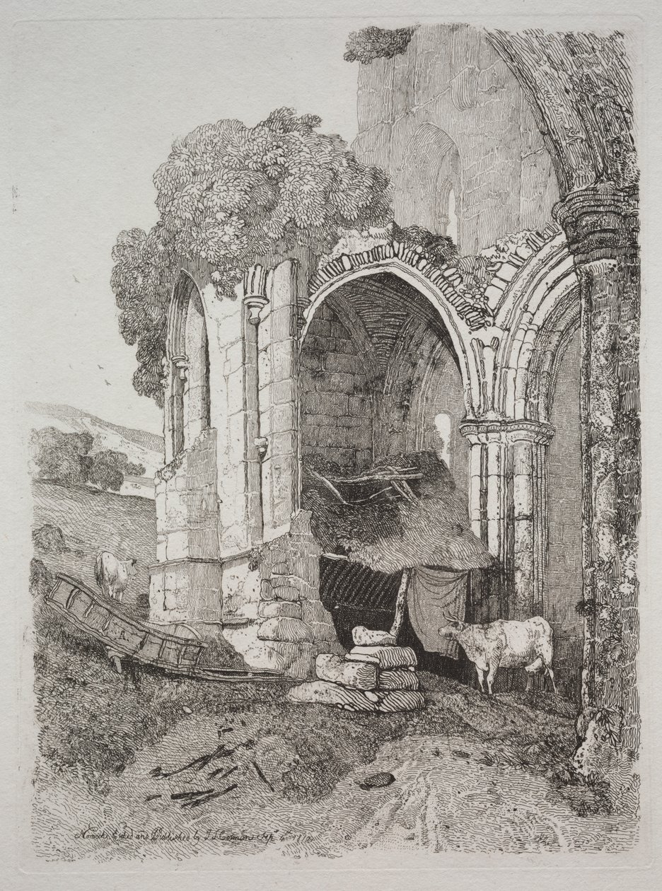 Opactwo Rievaulx, Yorkshire autorstwa John Sell Cotman