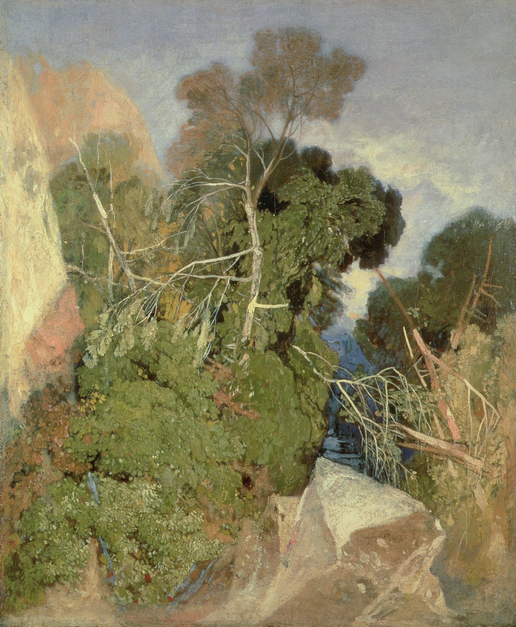 Brzozy srebrne autorstwa John Sell Cotman