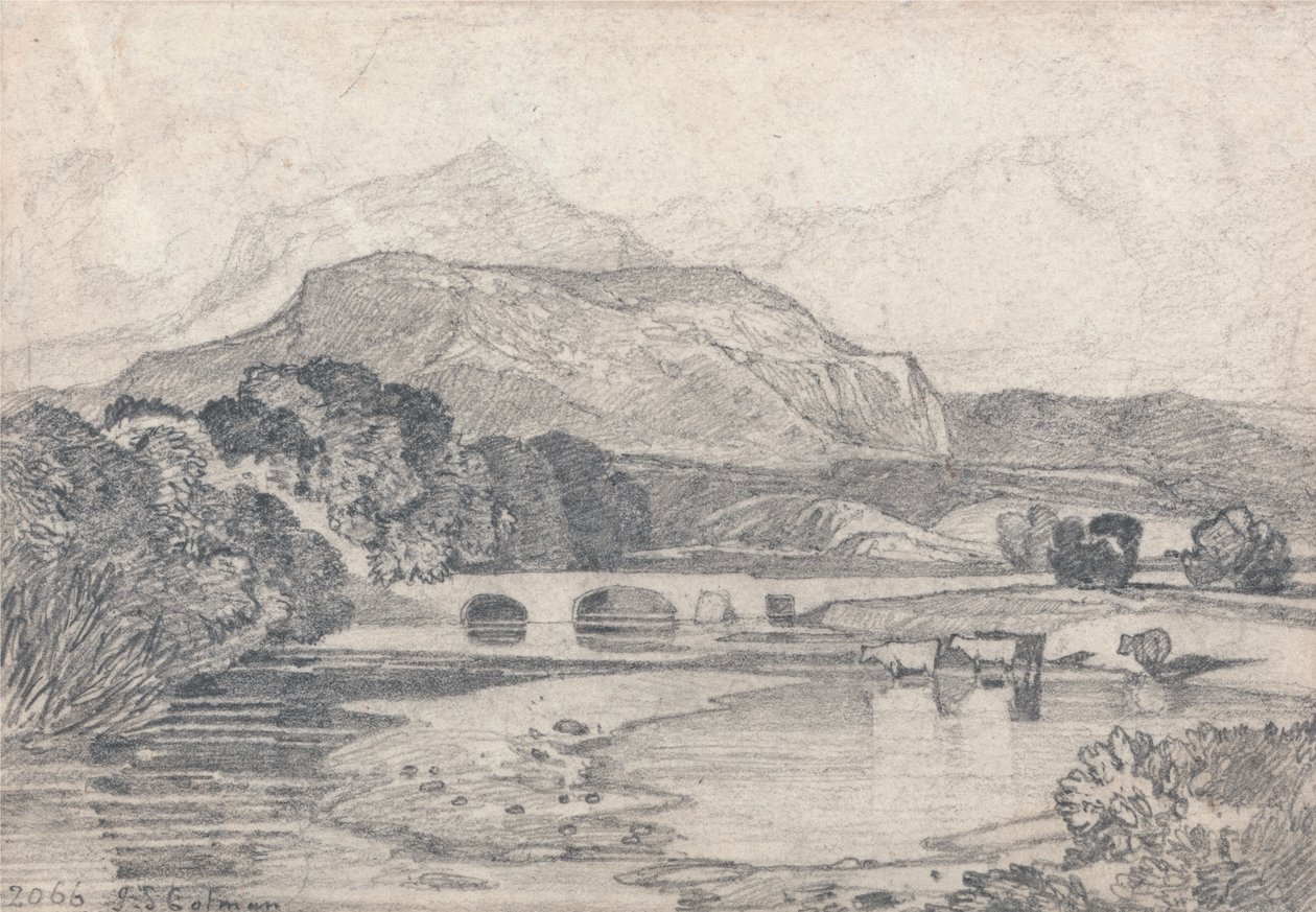 Tan-y-Bwlch, Północna Walia autorstwa John Sell Cotman