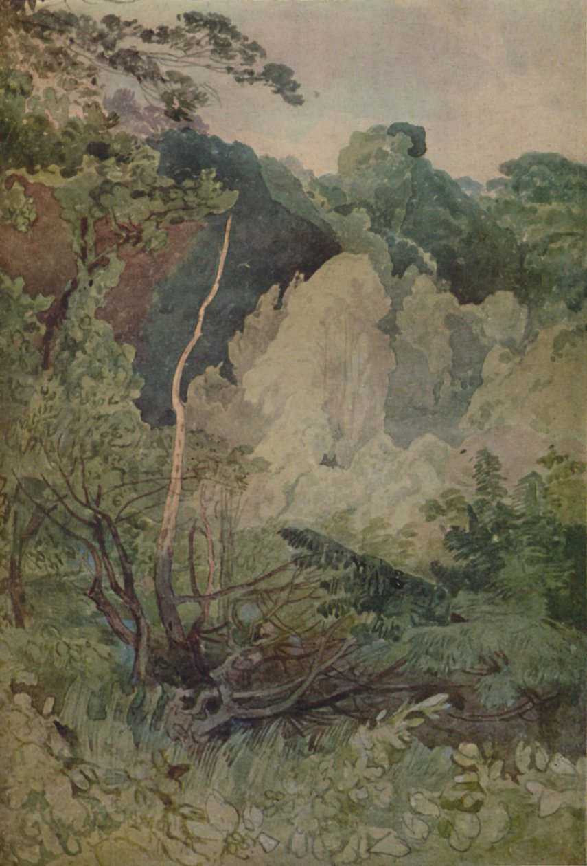 Drzewa w pobliżu rzeki Greta, 1923 autorstwa John Sell Cotman