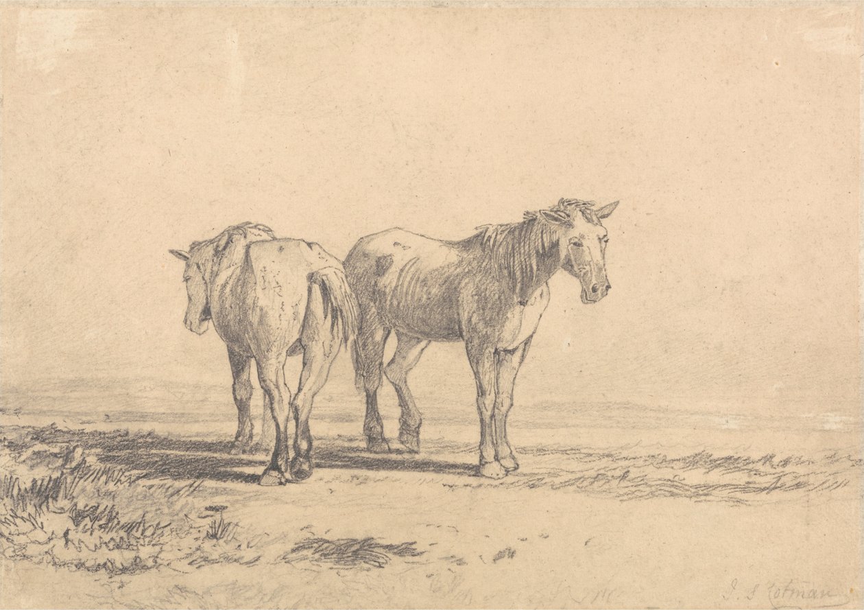 Dwa stare konie stojące na polu autorstwa John Sell Cotman
