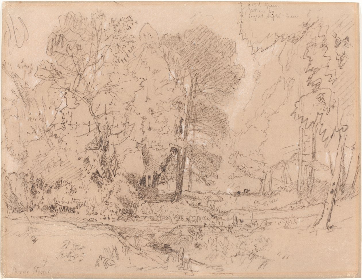 Zalesiony krajobraz autorstwa John Sell Cotman