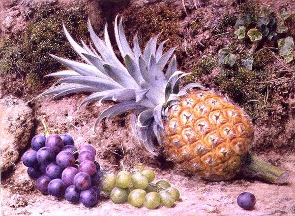Ananas i kiście winogron na omszałym brzegu autorstwa John Sherrin
