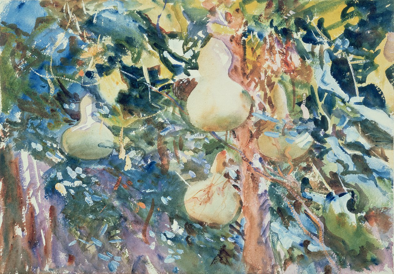 Tykwa, ok. 1905 (wc na papierze) autorstwa John Singer Sargent