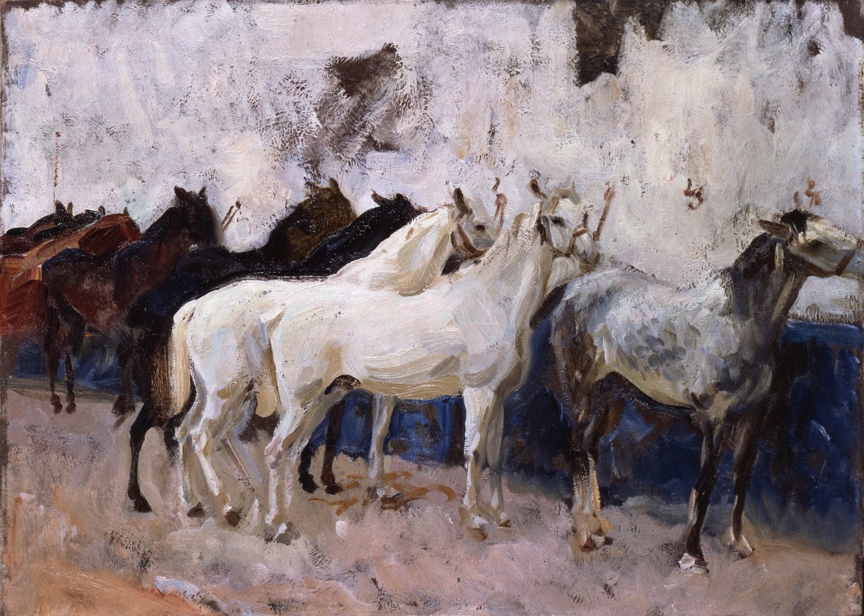 Konie w Palmie, Majorka, Hiszpania, 1908 autorstwa John Singer Sargent