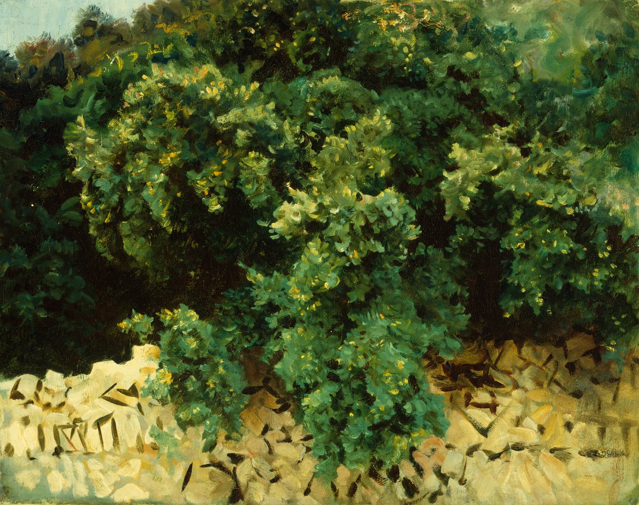 Ilex Wood, Majorka autorstwa John Singer Sargent