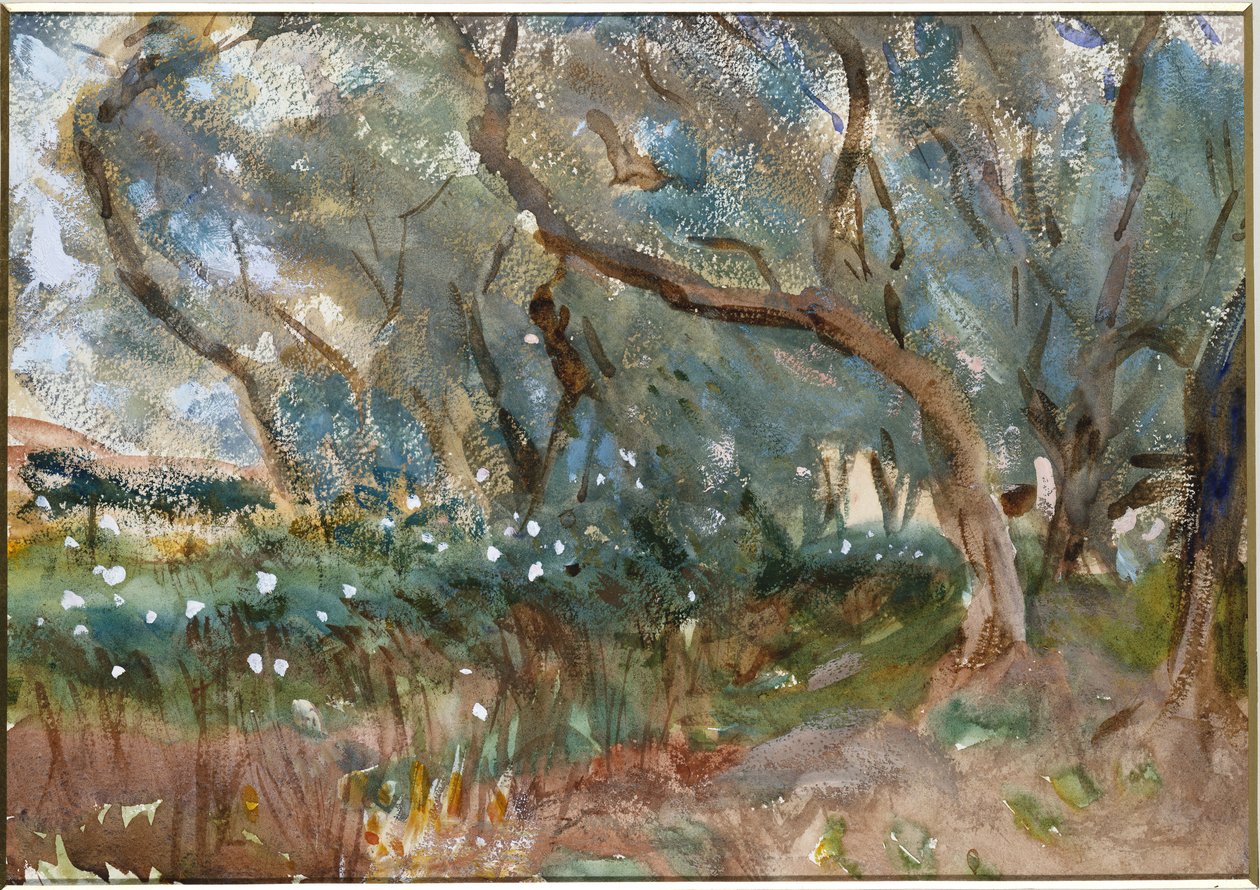 Krajobraz, Korfu, 1909 autorstwa John Singer Sargent
