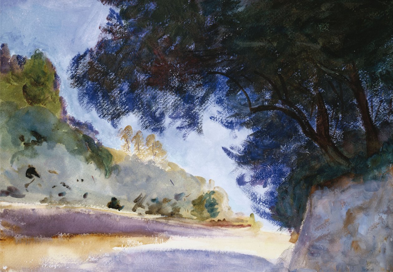 Krajobraz, Drzewa Oliwne, Korfu, 1909 autorstwa John Singer Sargent