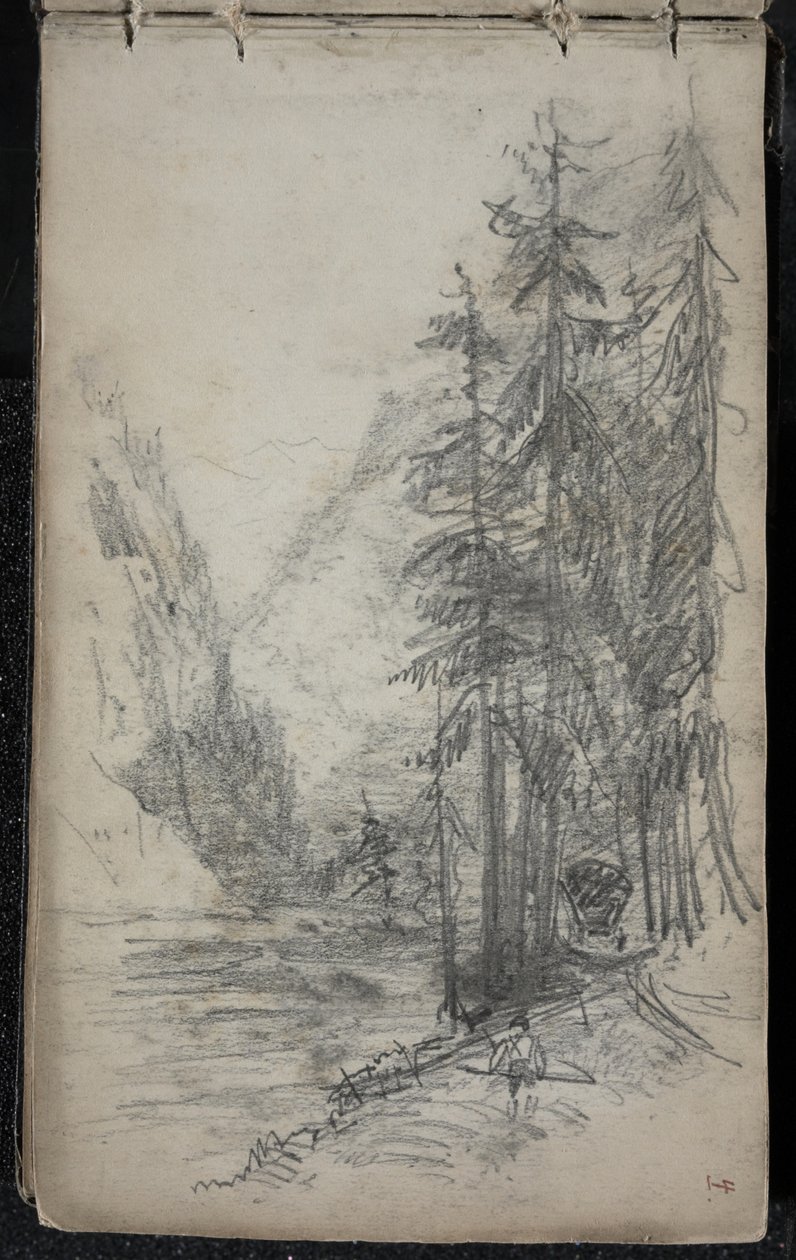 Pejzaż górski z drzewami, 1871-72 (grafit na przyciemnionym papierze tkanym w kolorze złamanej bieli) autorstwa John Singer Sargent