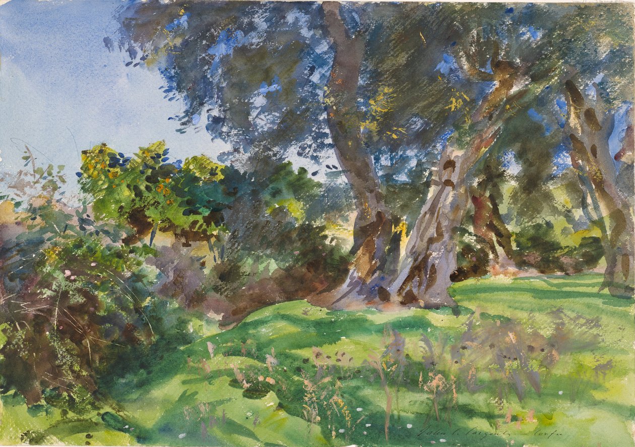 Drzewa oliwne, Korfu autorstwa John Singer Sargent