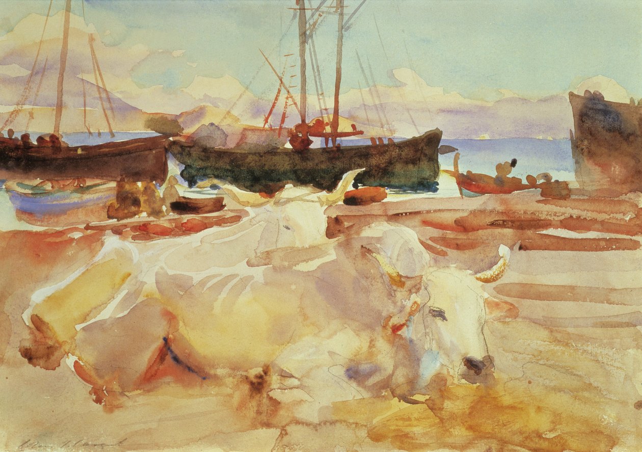 Woły na plaży w Baia, ok. 1908 (wc na papierze) autorstwa John Singer Sargent