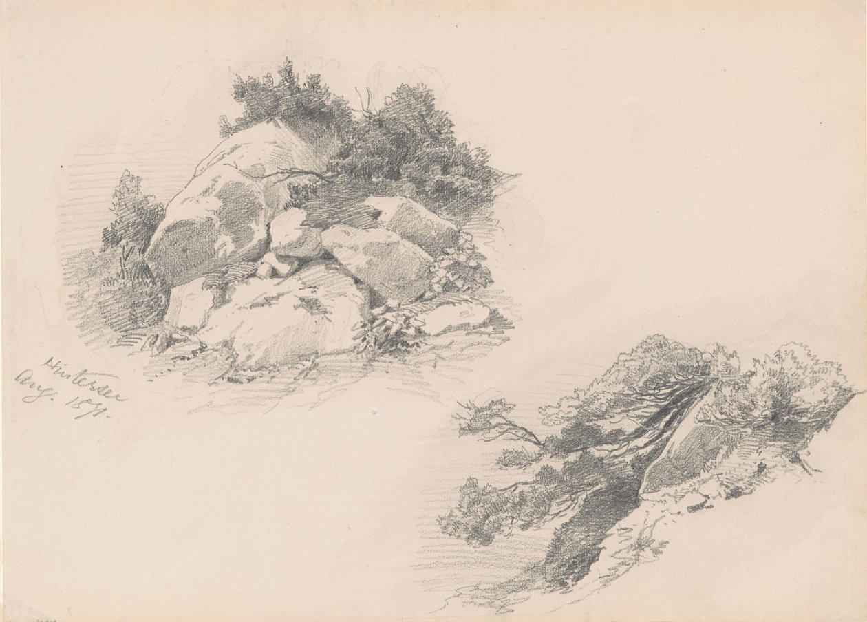 Rocks and Brush, Hintersee, Niemcy, 1871 (grafit na papierze tkanym) autorstwa John Singer Sargent