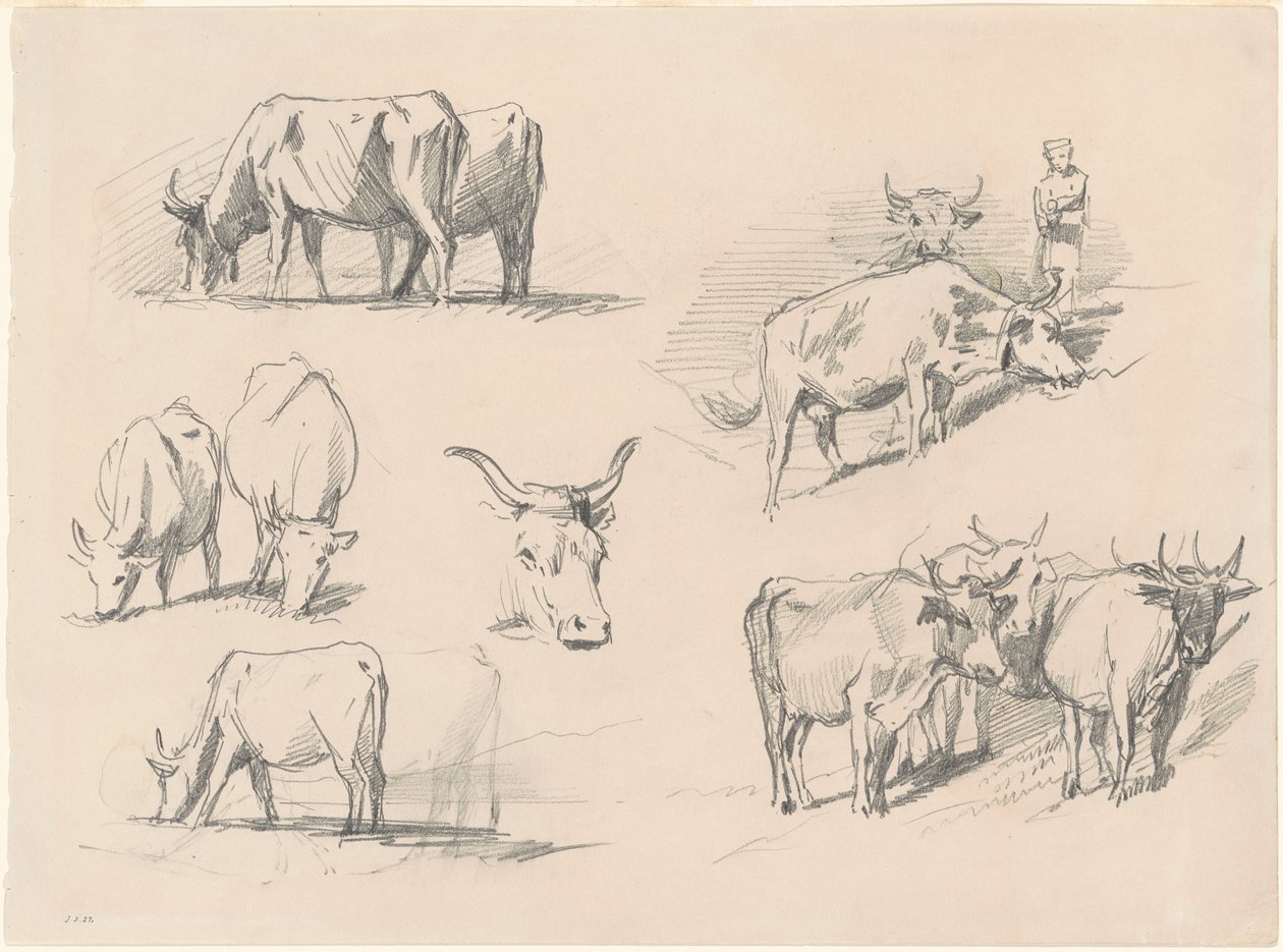 Studia nad bydłem, ok. 1872. autorstwa John Singer Sargent