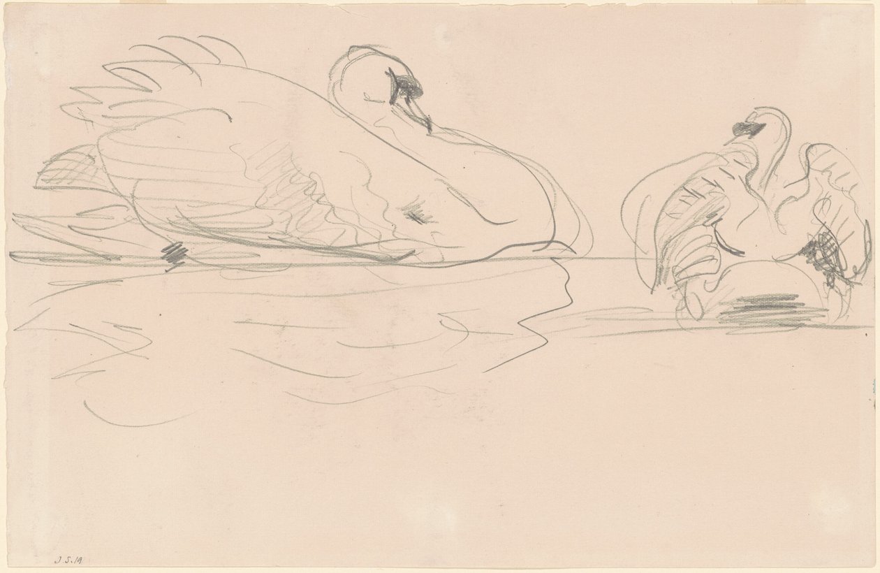 Łabędzie w wodzie autorstwa John Singer Sargent