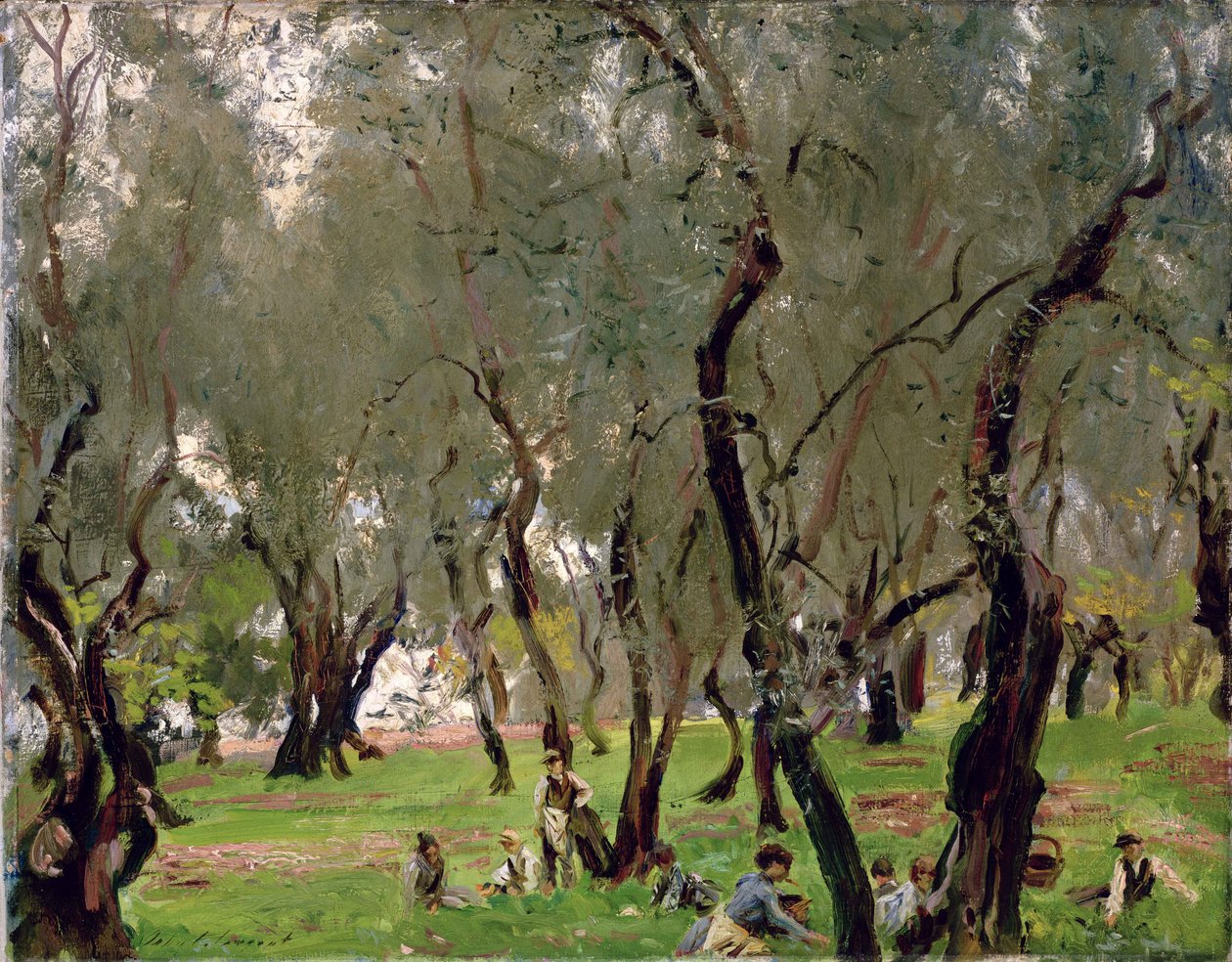 Gaj Oliwny, ok. 1910 r. (olej na płótnie) autorstwa John Singer Sargent
