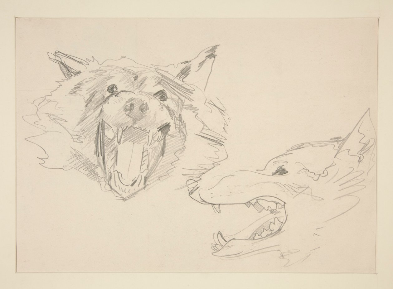 Dwa widoki wilka autorstwa John Singer Sargent
