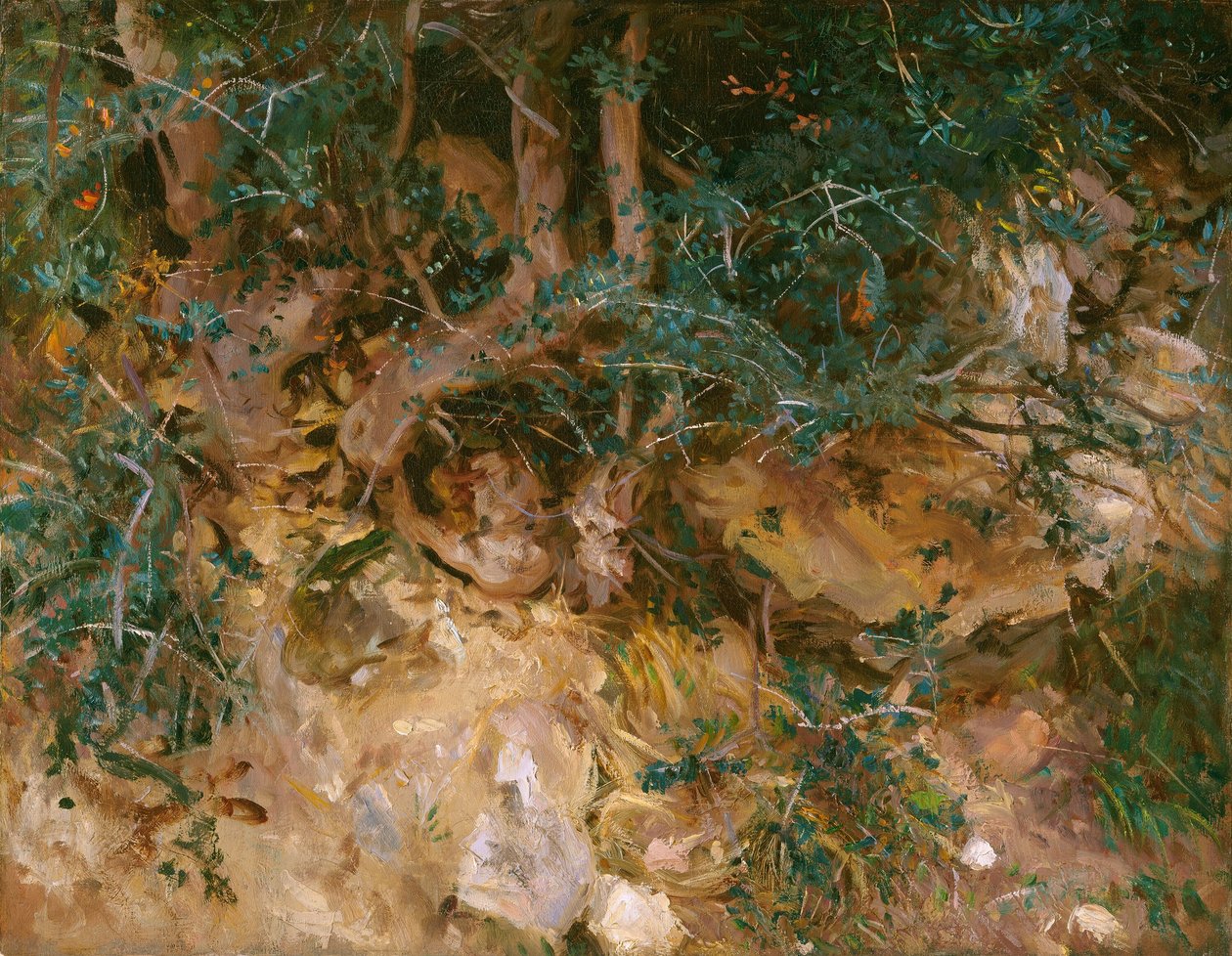 Valdemosa, Majorka: Thistles and Herbage on a Hillside, 1908. autorstwa John Singer Sargent