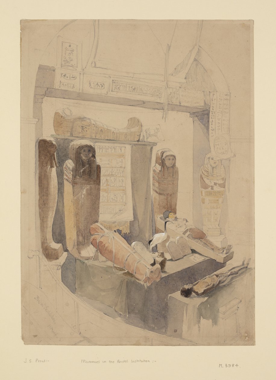Mumie w Bristol Institution, ok. 1834 (akwarela i ołówek na papierze) autorstwa John Skinner Prout