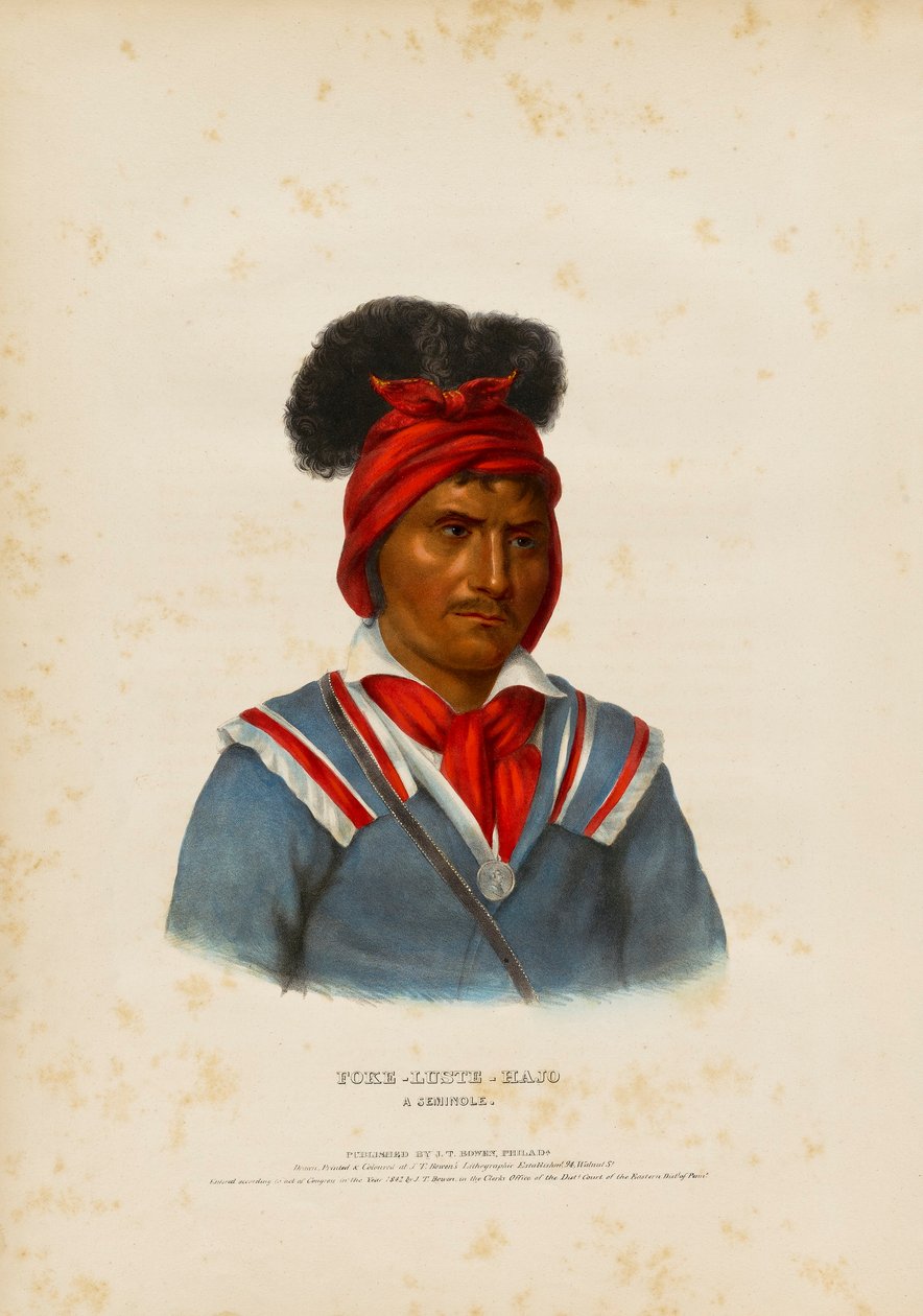 Foke-luste-ajo, Seminole autorstwa John T. Bowen