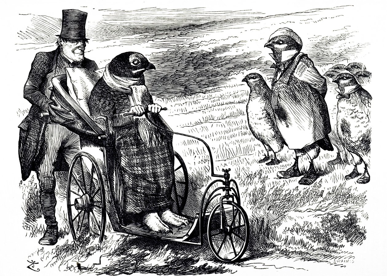 Karykatura komentująca zawieszenie strzelania z Grouse Shooting, aby umożliwić odbudowę kolby. Ilustrowane przez Johna Tenniela (1820-1914), angielskiego ilustratora, grafika humorystycznego i rysownika politycznego autorstwa John Tenniel
