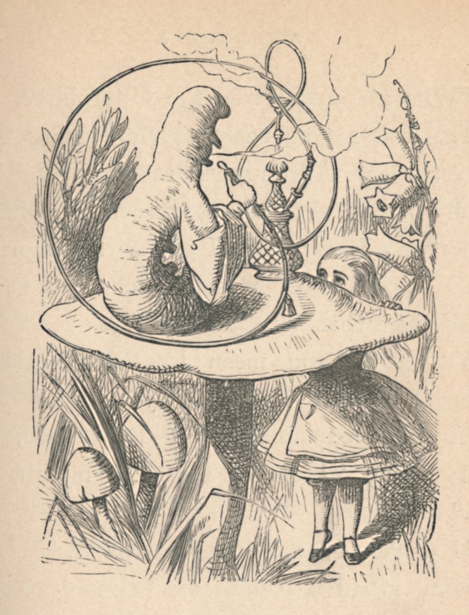 Alicja i gąsienica, 1889 autorstwa John Tenniel