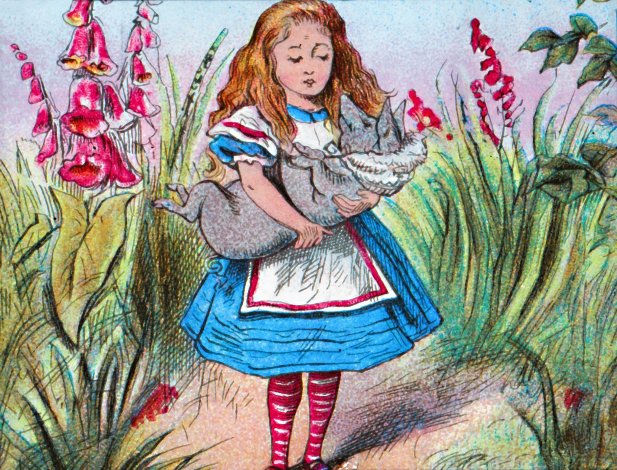 Alicja trzymająca w ramionach świnię., c1910. autorstwa John Tenniel