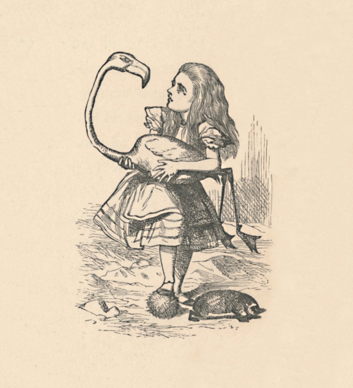 Alicja próbuje grać w krokieta z flamingiem jako młotkiem, 1889 autorstwa John Tenniel