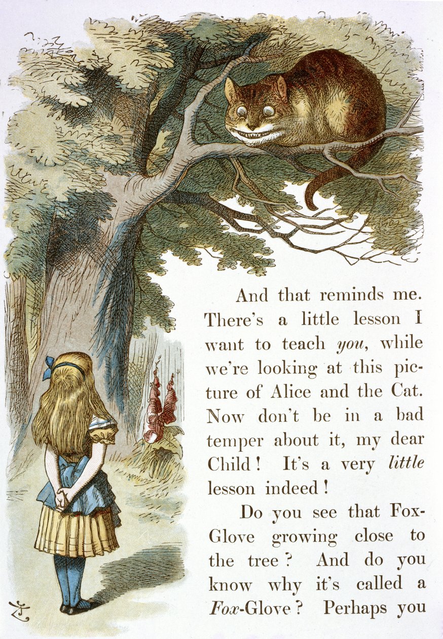 Kot z Cheshire autorstwa John Tenniel