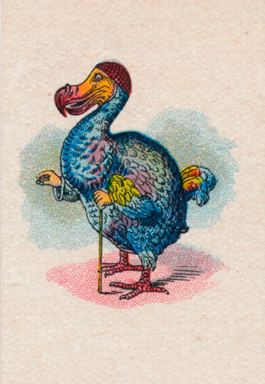 Dodo, 1930 autorstwa John Tenniel
