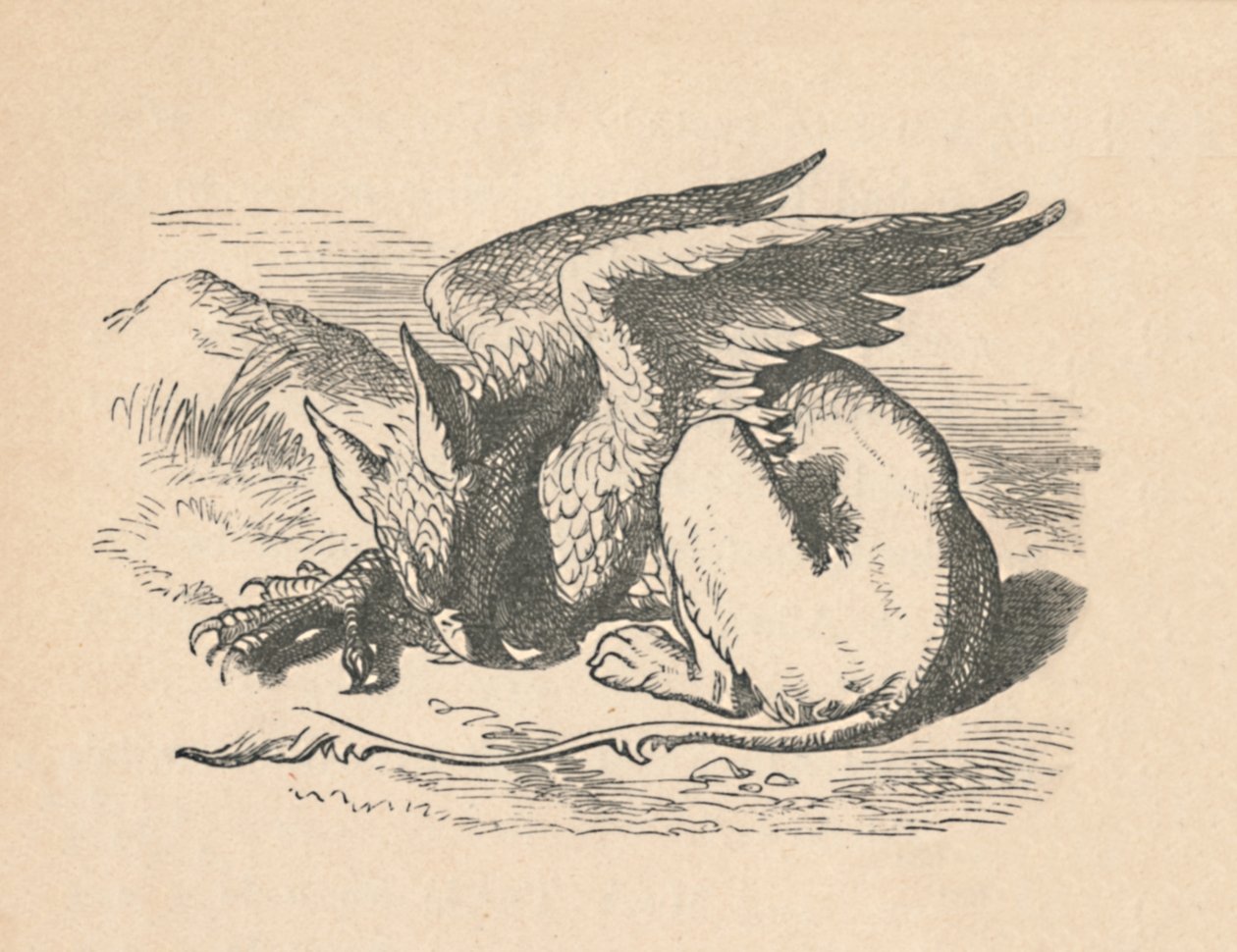 Gryf śpiący na słońcu, 1889 autorstwa John Tenniel