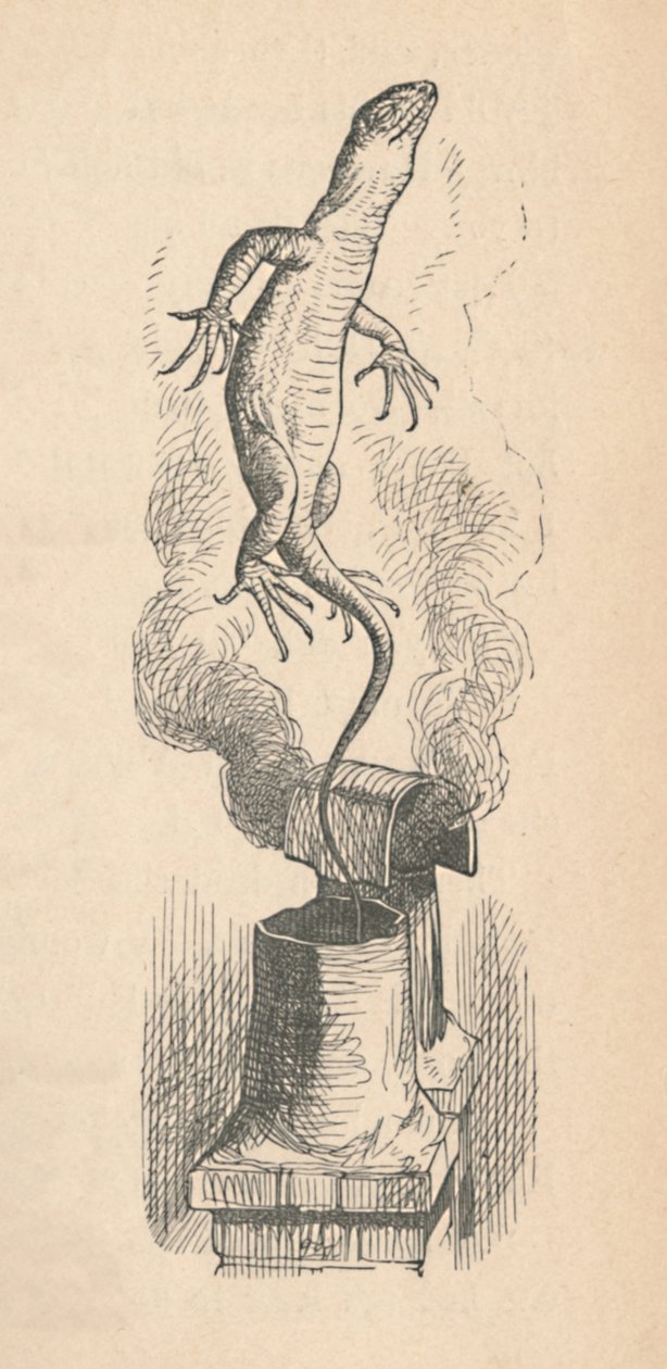 Jaszczurka, 1889 autorstwa John Tenniel