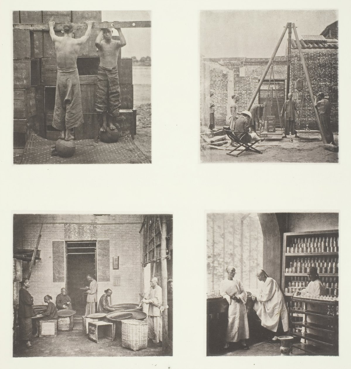 Herbaty z kaparami i proszkiem strzelniczym, Ważenie herbaty na eksport, Herbaciarnia..., ok. 1900 1868. autorstwa John Thomson