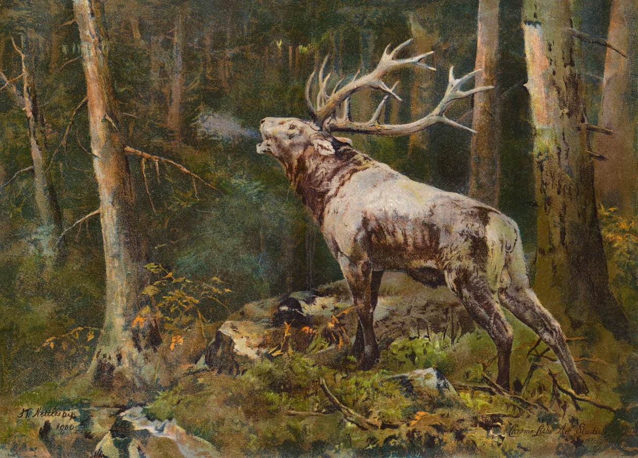  autorstwa John Trivett Nettleship