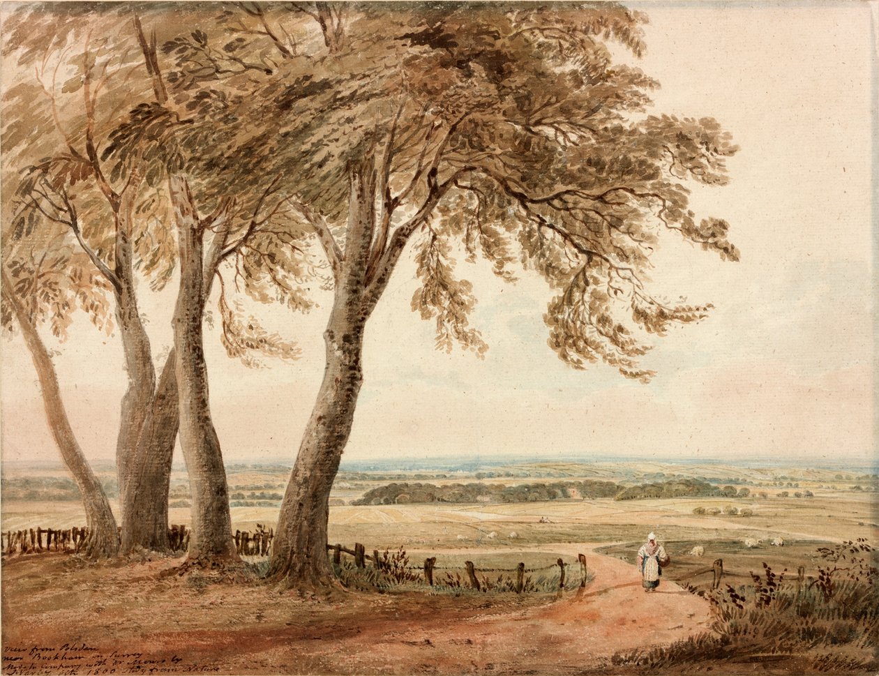 Widok z Polsden koło Bookham w Surrey autorstwa John Varley