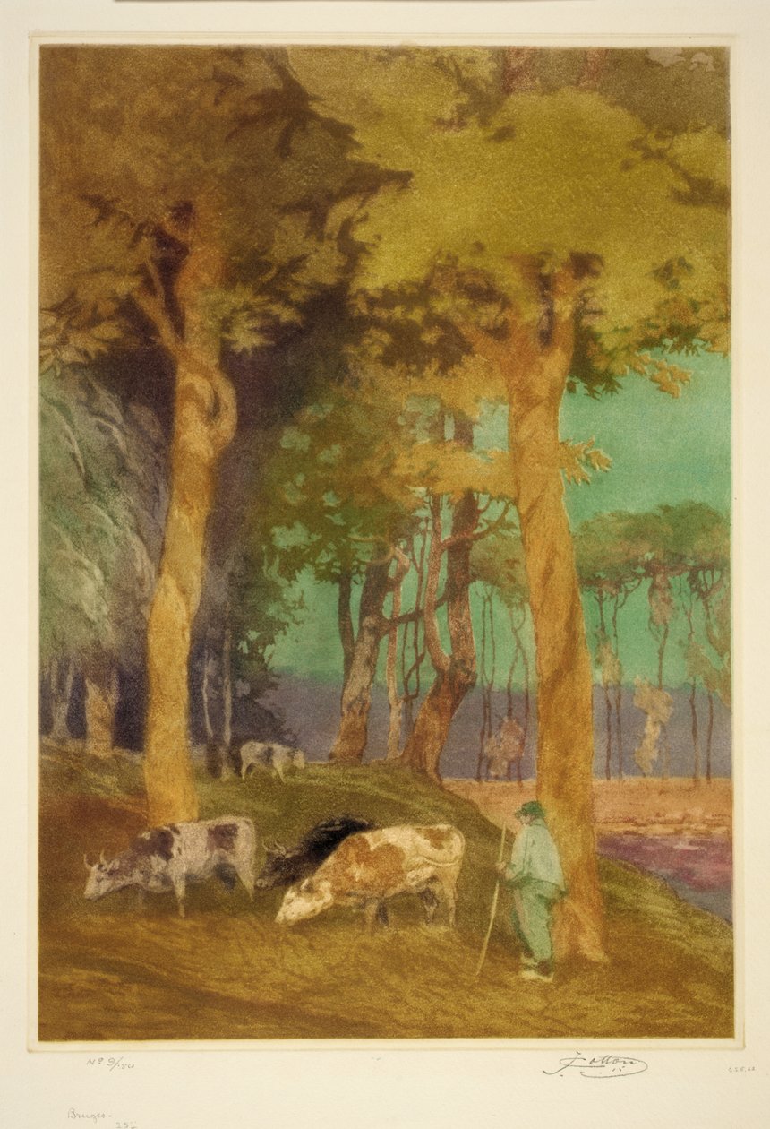 Brugia autorstwa John W. Cotton