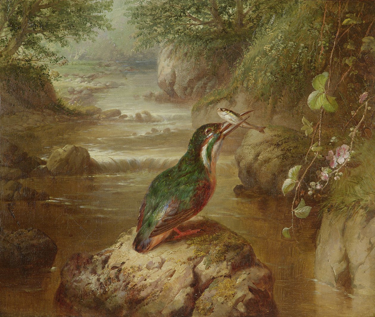 Nawiedzenie zimorodka autorstwa John Wainwright