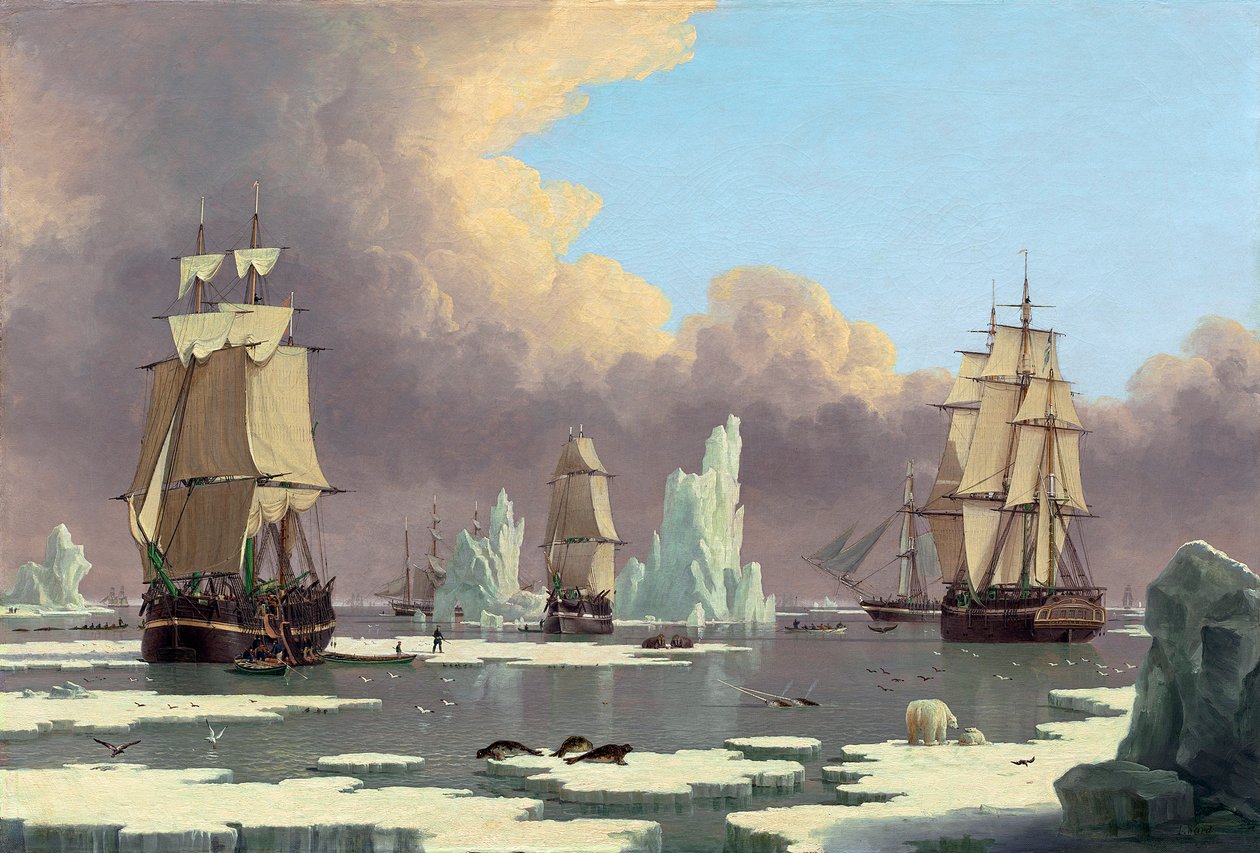 Połowy wielorybów na północy: Łabędź i Isabella, ok. 1840 r. autorstwa John Ward of Hull