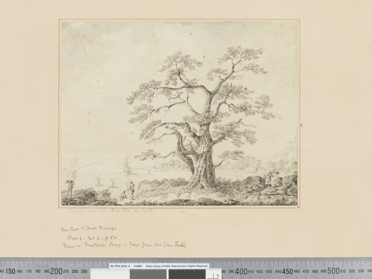 F.44 Widok na brzeg morza, duże drzewo pośrodku, ok.1783-84 autorstwa John Webber